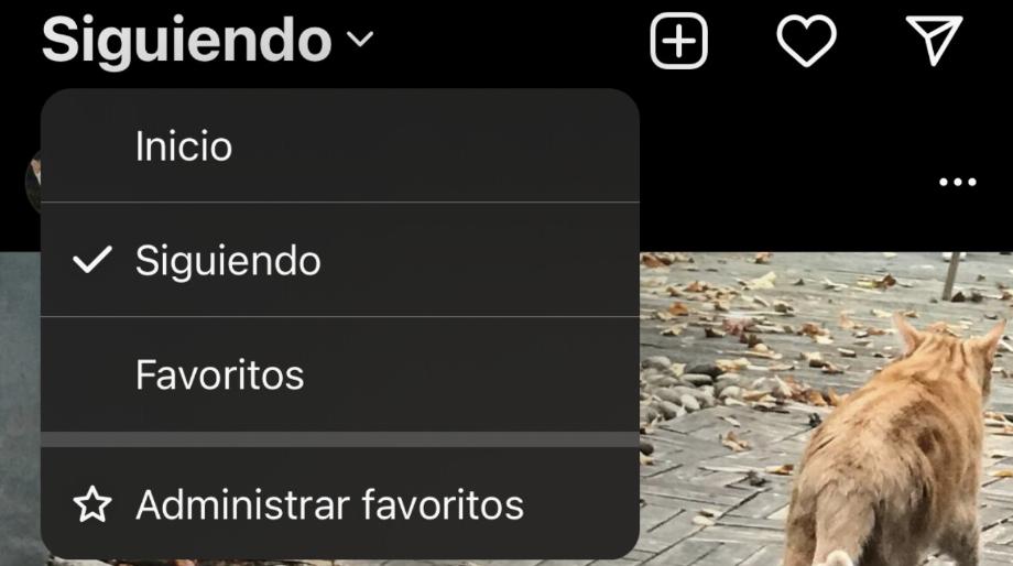 Nouveau flux pour Instagram avec options. (photo: cuba.eseuro)