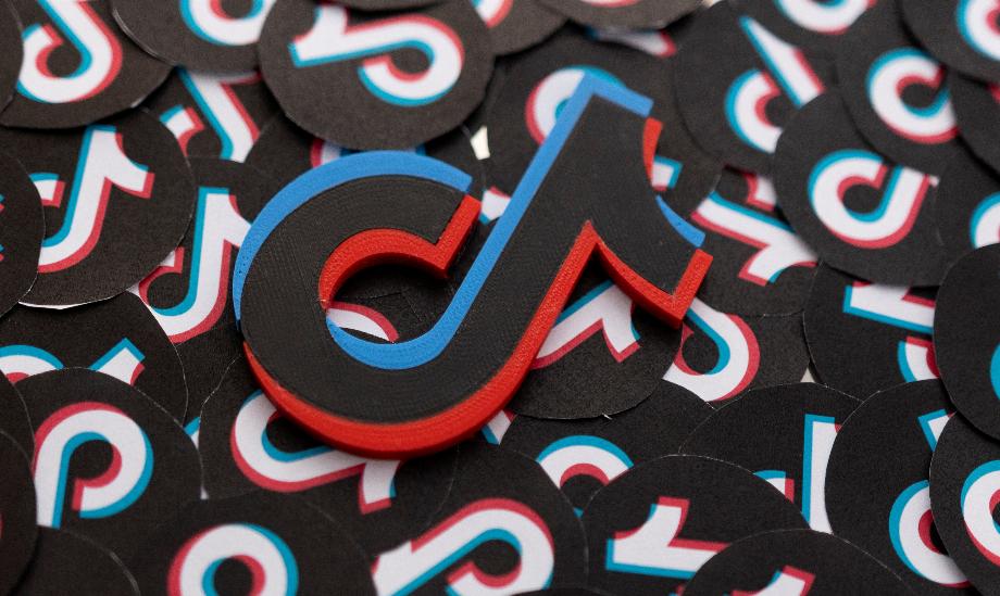Logo TikTok (Photo : REUTERS/Dado Ruvic/Photo d'archive)