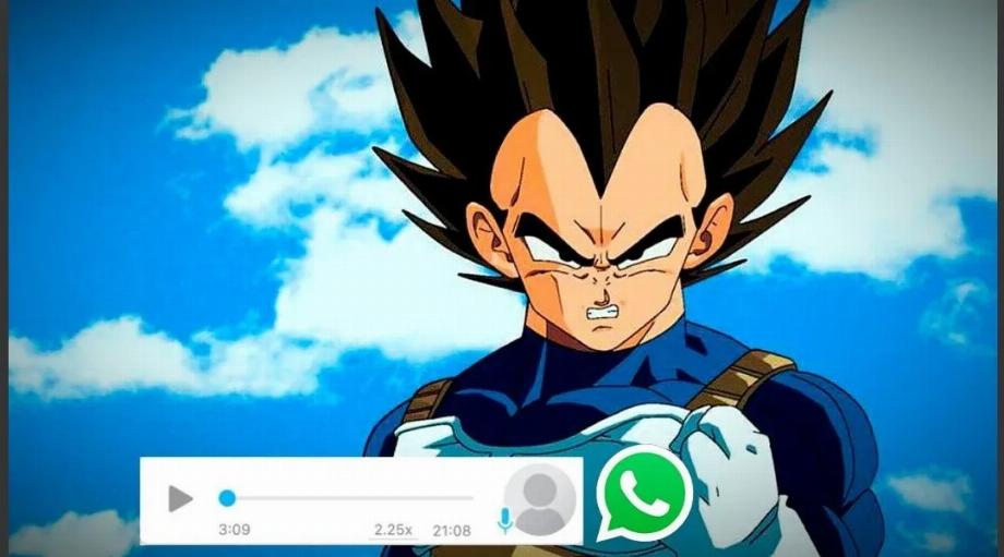 La voix de Vegeta dans les audios WhatsApp. (photo : co.marca.com)