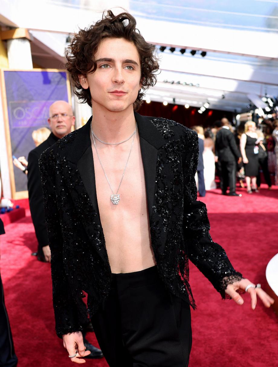 Timothée Chalamet sur le tapis rouge (REUTERS/Mike Blake)