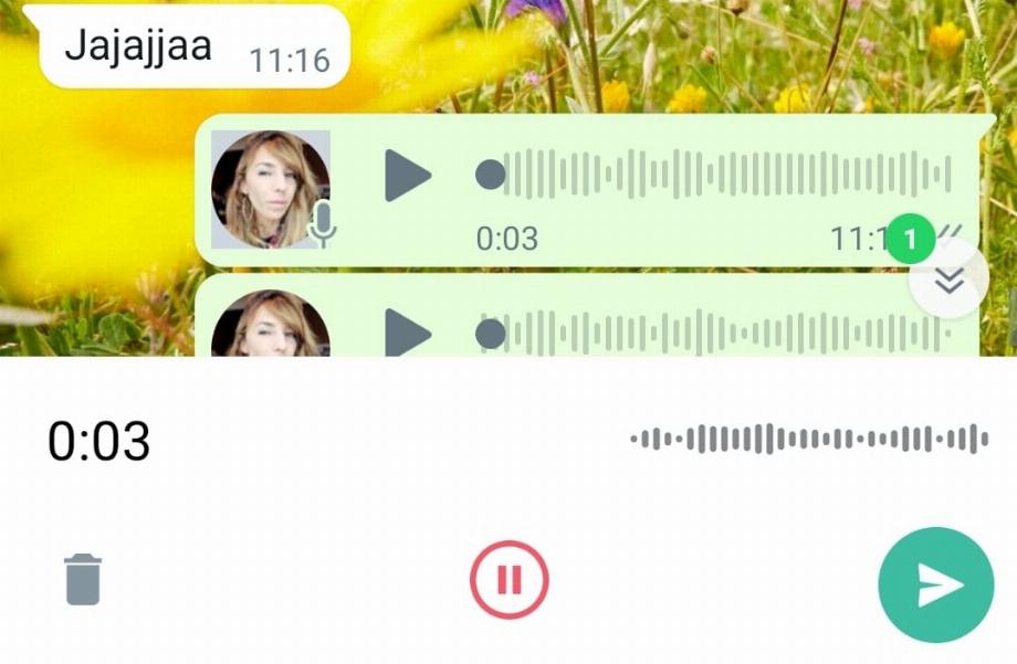 WhatsApp ajoutera un bouton pour mettre en pause l'enregistrement des messages vocaux