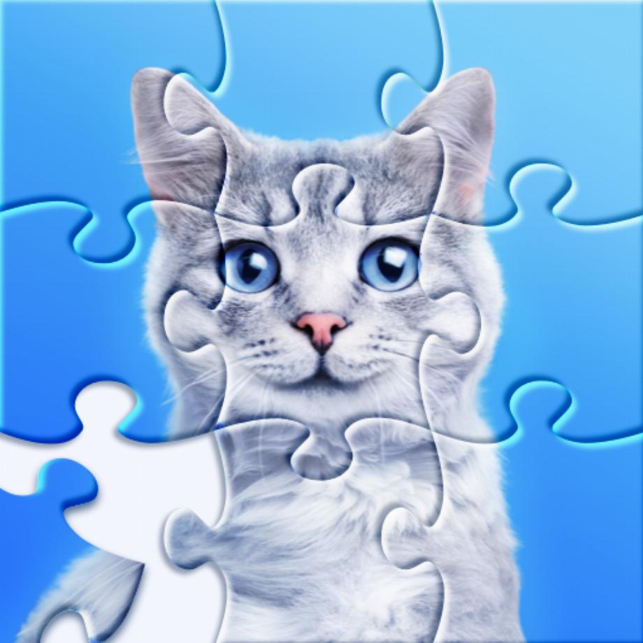 Casse-tête - casse-tête. (photo : Google Play Store)