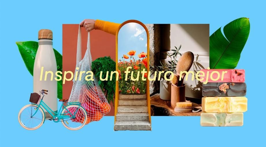 Pinterest a mis à jour ses politiques pour faire face à la désinformation liée au changement climatique