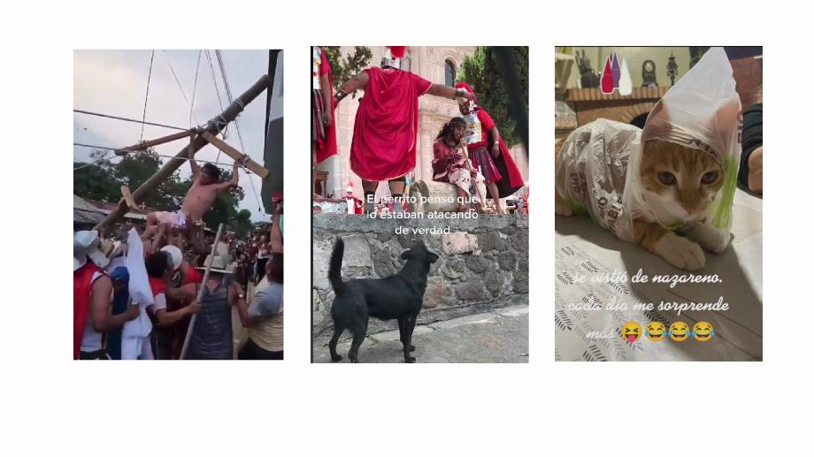 Ces jours-ci, des vidéos humoristiques liées à Pâques sont devenues virales