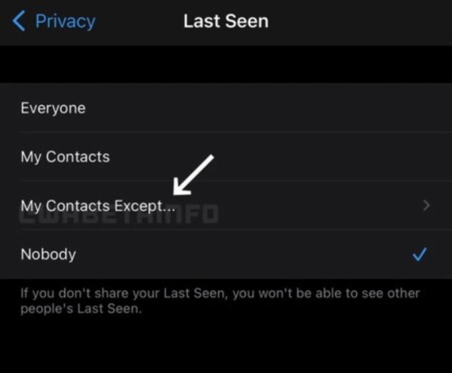 Masquer la connexion dans WhatsApp pour certains contacts. (photo : Infos WABeta)