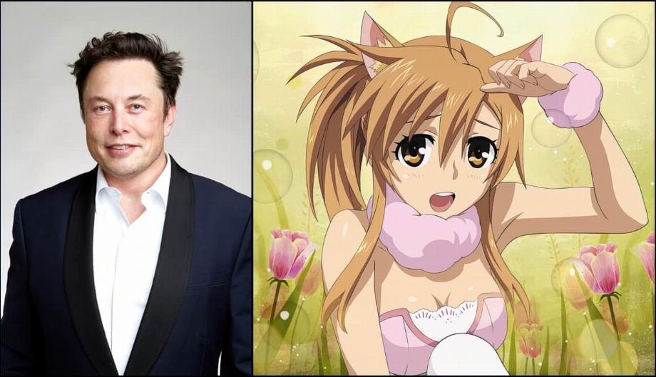 Elon Musk et Catgirl. (photo : CET)