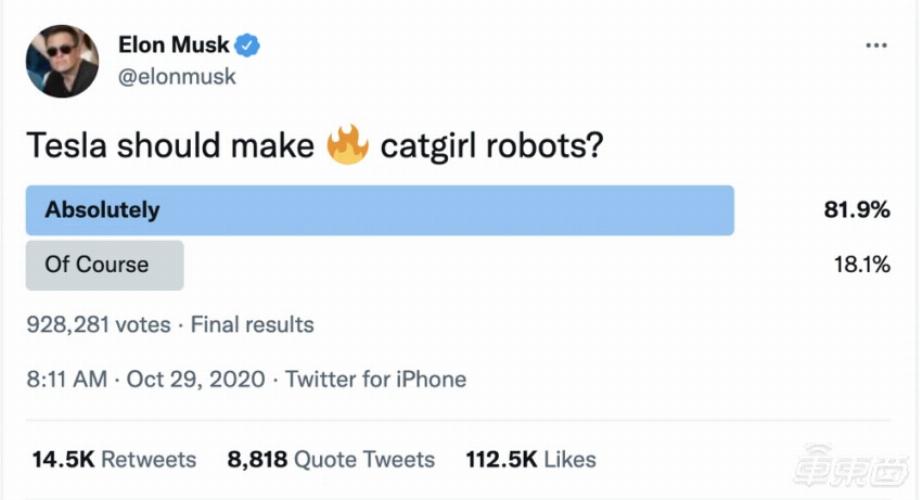 Tweet d'Elon Musk. (photo : Twitter)