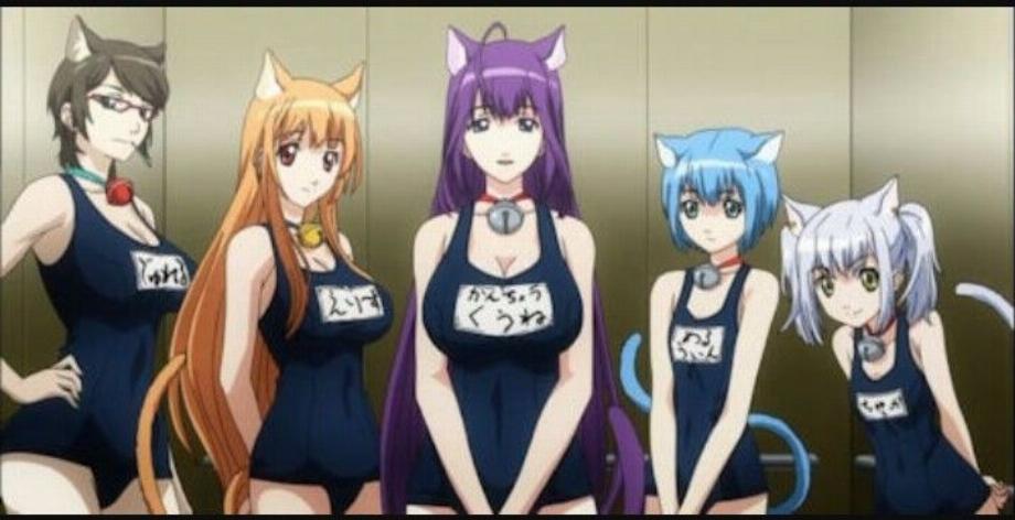 filles-chats. (photo : Crunchryoll)