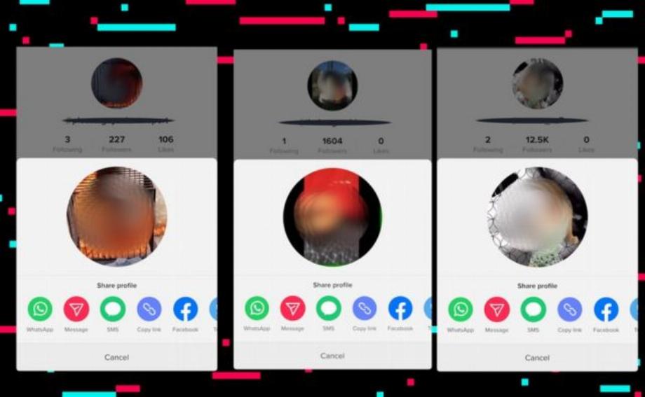 Profils porno sur TikTok. (photo : BBC)