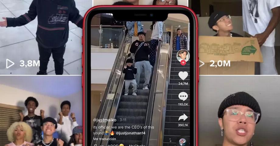 Top 15 des vidéos les plus appréciées sur TikTok. (photo : La sortie)