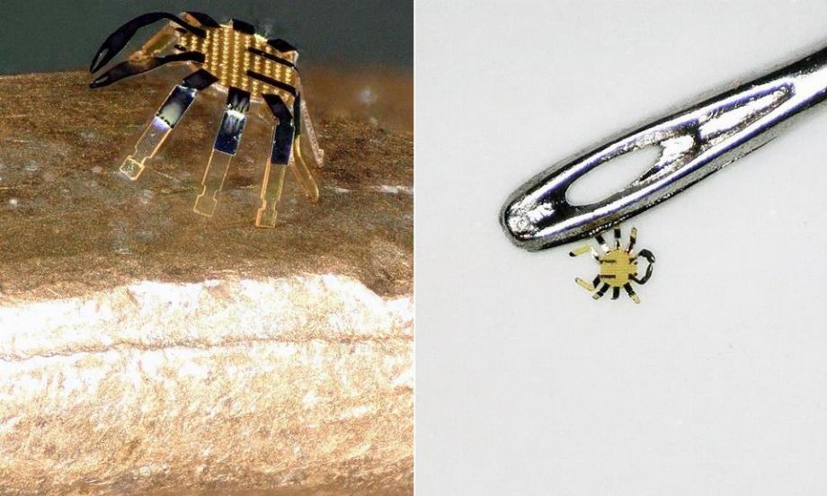 robot crabe. (photo: Université Northwestern)