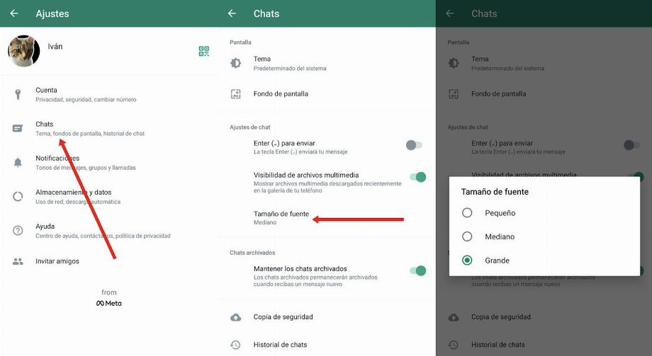Paramètres WhatsApp pour les personnes âgées. (photo : regardez comment c'est fait)