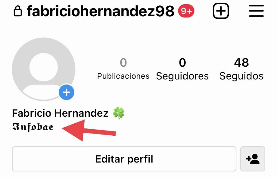 Résultat de l'utilisation de Meta Tags dans un compte Instagram. (photo : Instagram)