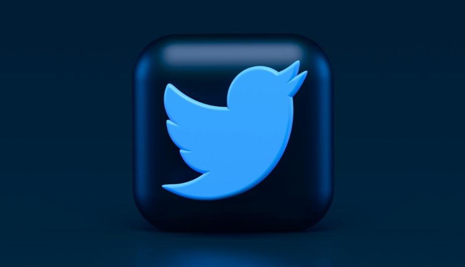 Twitter. (photo : regardez comment c'est fait)