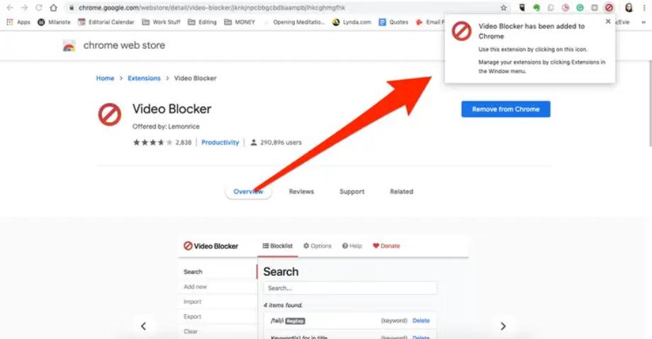 Bloqueur vidéo. (photo : YouTube Wise)
