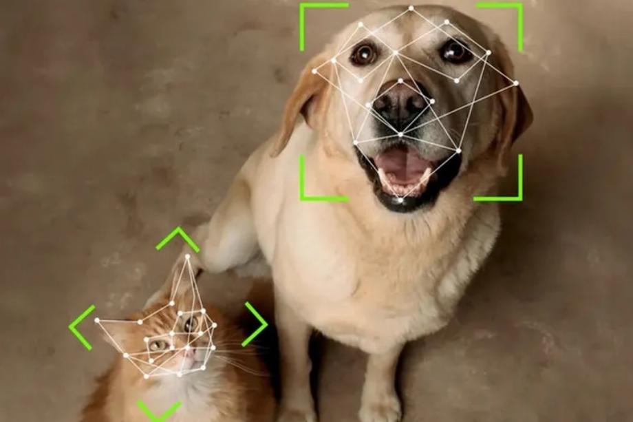 Système de reconnaissance faciale pour animaux de compagnie. (photo : YouTube/Petvation)