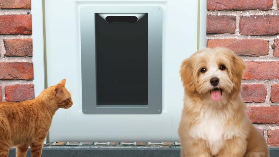 (Photo: Petvation)