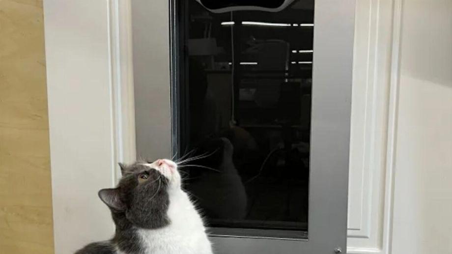 (Photo: Petvation)