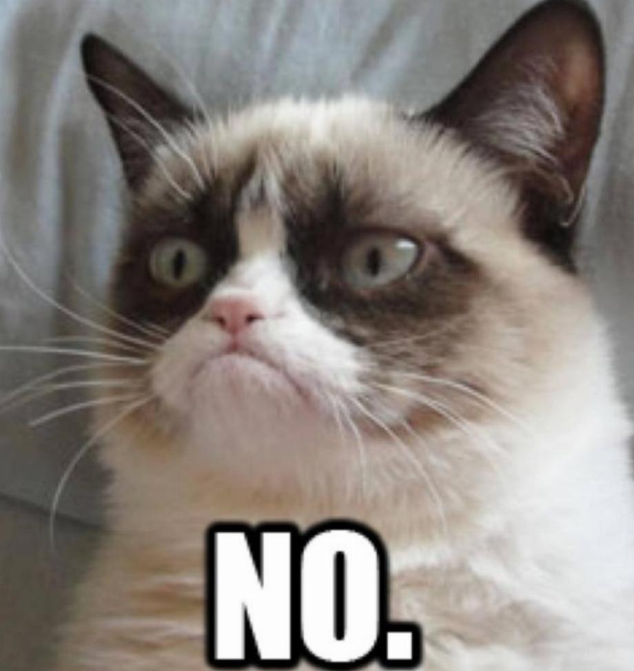 Le chat le plus connu d'internet