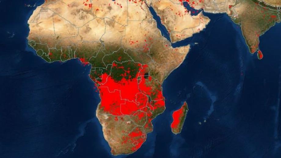 Incendies dans les pays africains. (photo : NASA)