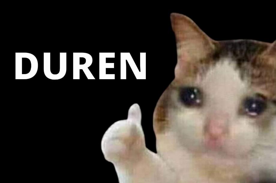 Les 5 mèmes de chat les plus drôles. (photo : Lifeder)