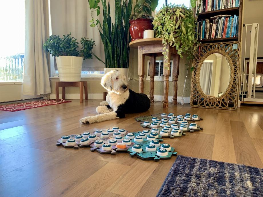 Les tapis de boutons Fluent Pet vous permettent de les organiser en catégories (Fluent Pet)