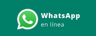 WhatsApp : guide pour masquer le statut "En ligne" à tout le monde