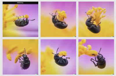 Les meilleures photos éditées exclusivement par une intelligence artificielle