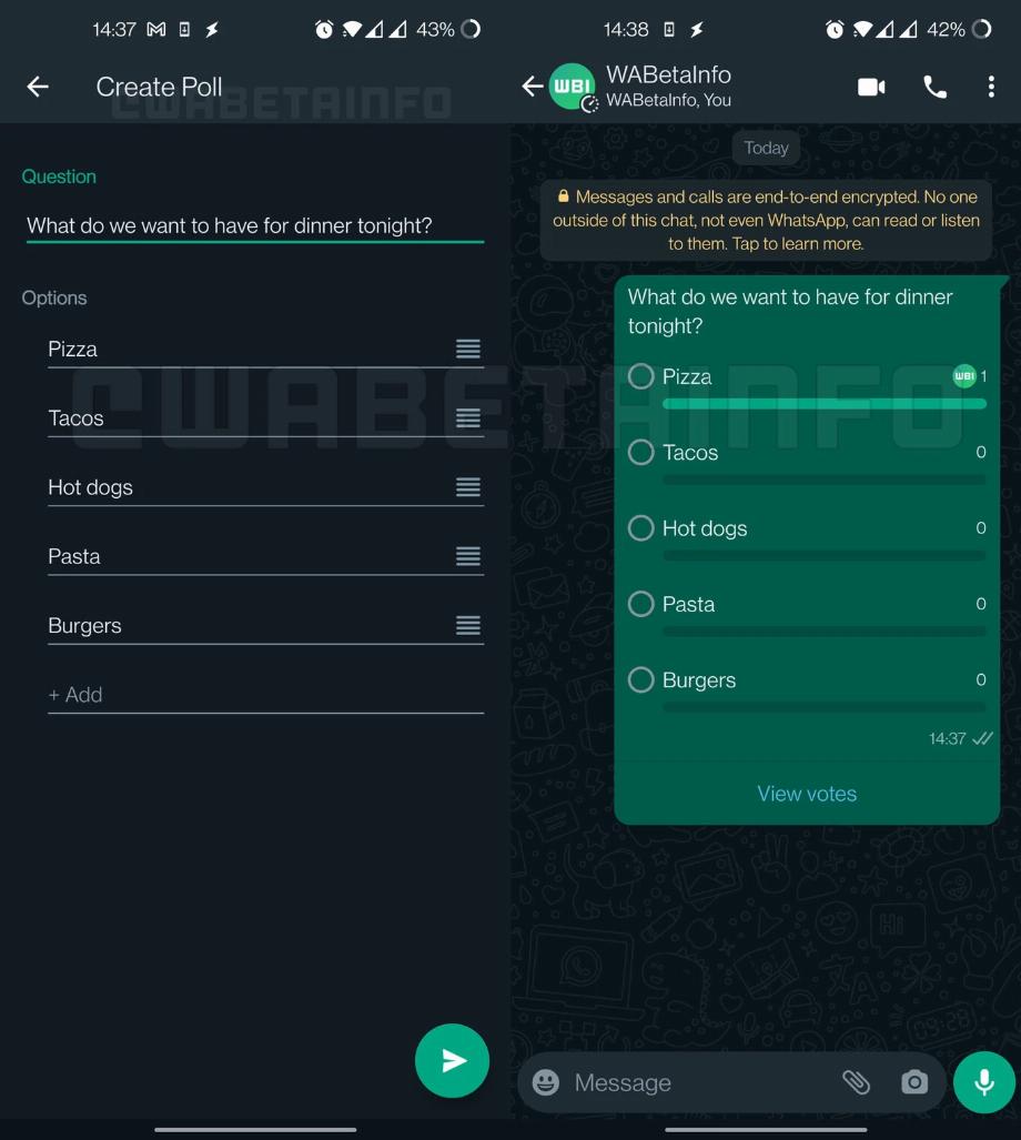 Enquêtes sur WhatsApp. (photo : WABetaInfo)