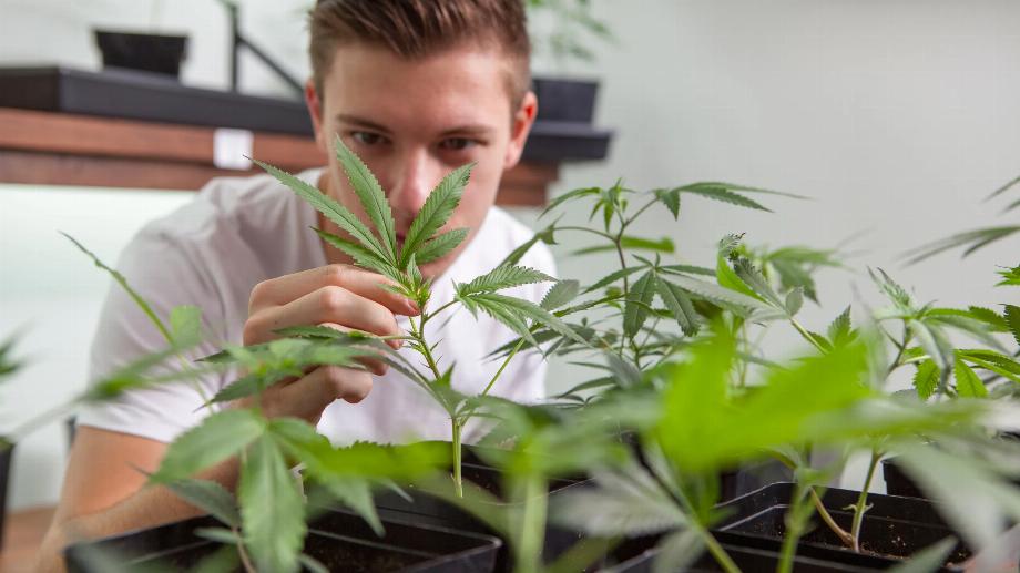 Plusieurs études affirment que le cannabis réduit le stress et l'anxiété. (photo : GQ)