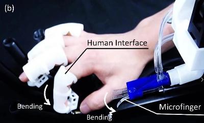Voici comment fonctionnent ces doigts robotiques qui permettent d'interagir avec les insectes