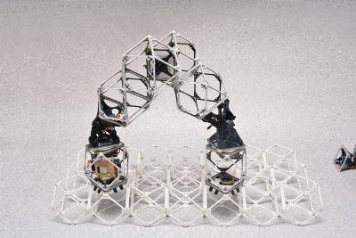 Ces robots peuvent être transformés en transformateurs et aideront à construire des véhicules