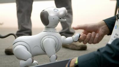 Ce sont les chiens robots qui accompagneront bientôt les humains