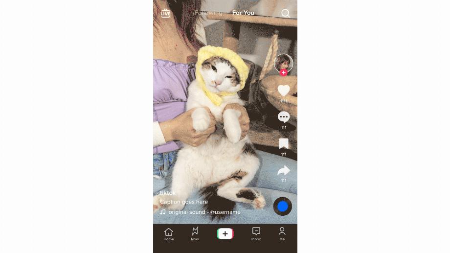 L'application précisera aux utilisateurs les raisons pour lesquelles certaines vidéos sont recommandées.