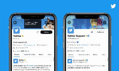 Twitter Blue apporte cette version pour les entreprises