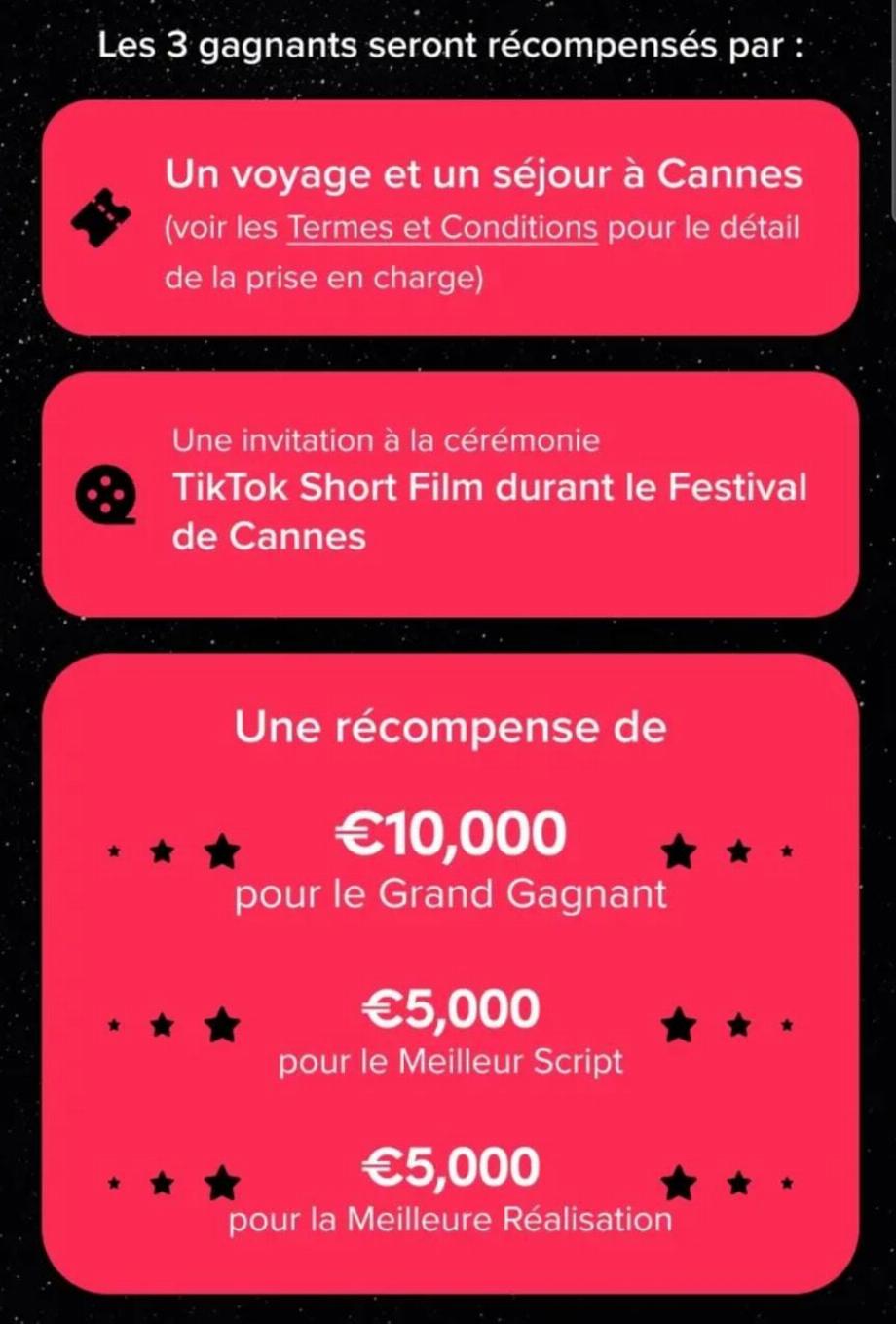Le concours TikTok amène les créateurs de contenu au festival de Cannes.
