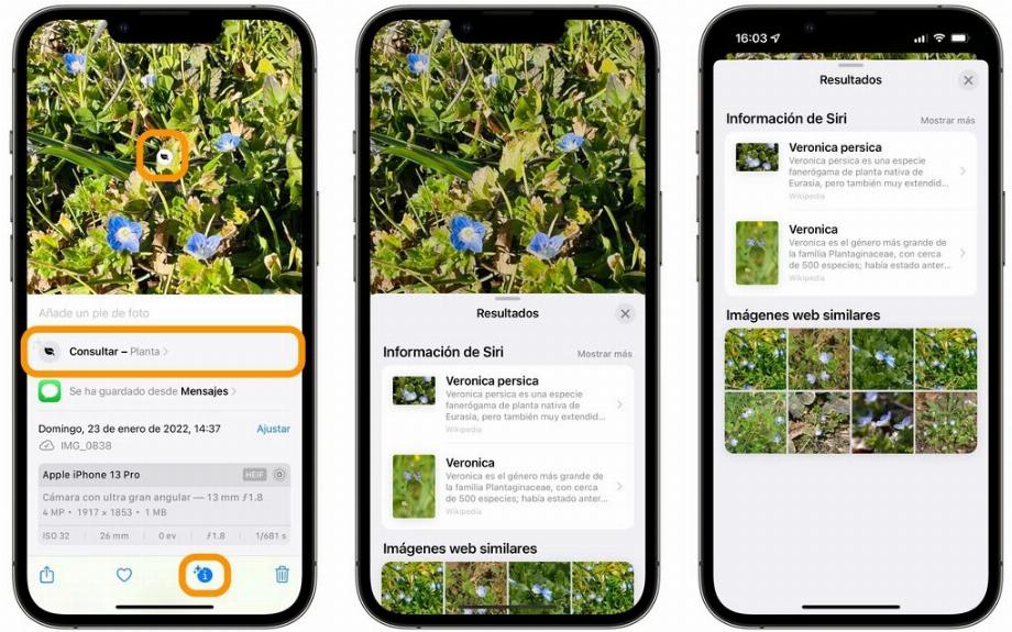 Trouvez des informations avec des images à l'aide de Siri. (Applesphère)