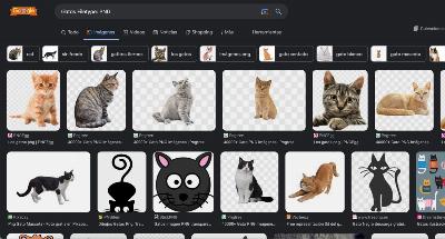 Comment trouver des images dans n'importe quel format avec Google