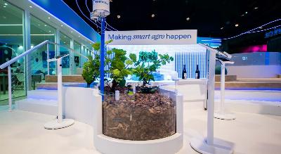 Comment les vignobles sont contrôlés avec l'intelligence artificielle et la blockchain