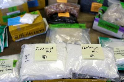 Les États-Unis utiliseront l'intelligence artificielle pour lutter contre le trafic de fentanyl
