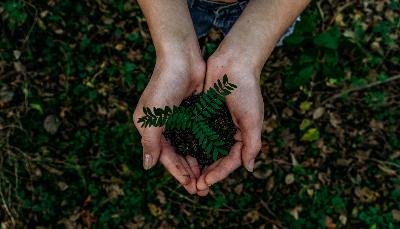 Jour de la Terre : pourquoi le changement climatique et l'environnement sont les plus recherchés