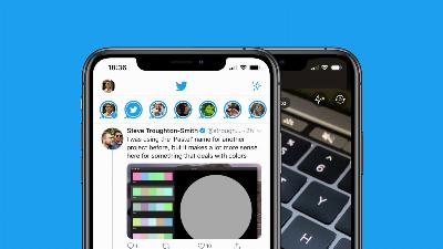 Elon Musk apportera à nouveau les «flottes» ou les histoires sur Twitter