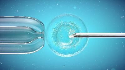 Un robot qui simplifie et baisse le prix de la fécondation in vitro