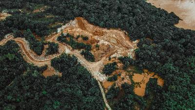 PrevisAI, prédit les sites de déforestation en Amazonie avec l'intelligence artificielle