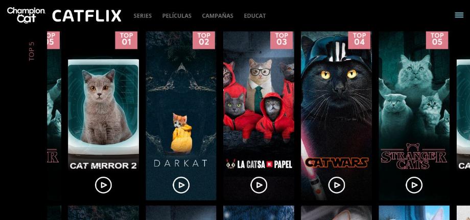 Une page où vous pouvez voir des vidéos amusantes sur les chats.