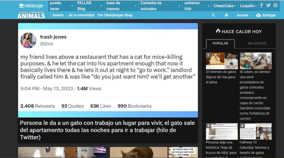 Une page où les gens partagent des histoires et des mèmes sur les chats.
