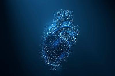 Intelligence Artificielle : comment est l'algorithme qui permet de diagnostiquer les crises cardiaques