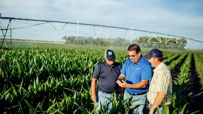 Technologie agricole : pourquoi l'intelligence artificielle est la meilleure alliée contre la sécheresse