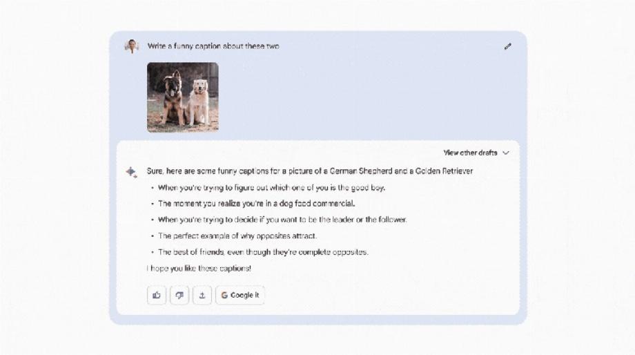 L'intelligence artificielle permettra à Google Lens d'analyser les images et de générer du texte à la demande en fonction de celles-ci. (Capture)