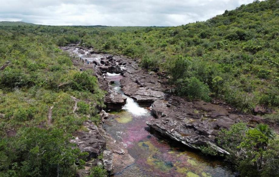 Image de la rivière Caño Cristales, également connue sous le nom de rivière des dieux, ou rivière aux sept couleurs, à La Macarena, département de Meta, Colombie, l'une des zones rurales les plus importantes de Colombie. /REUTERS/Herbert Villarraga
